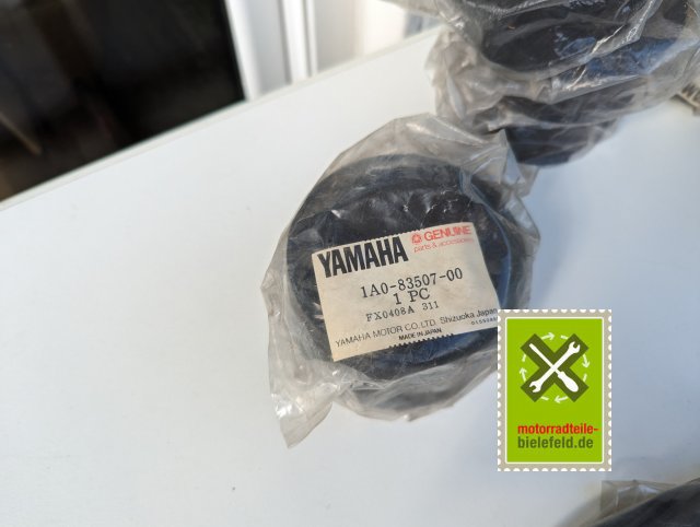PXL_20240523_150414858